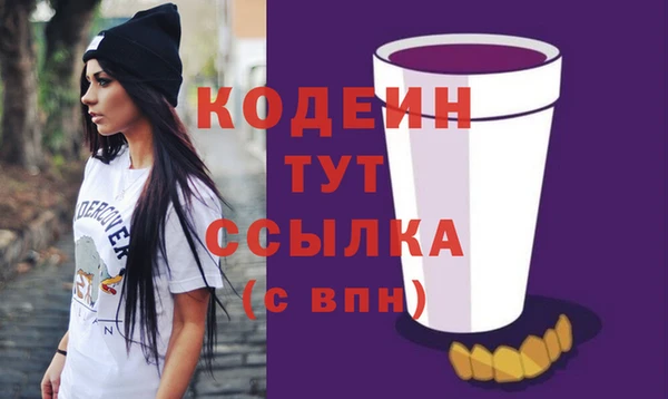 соль ск Сосновка
