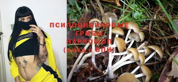 ПСИЛОЦИБИНОВЫЕ ГРИБЫ Белокуриха