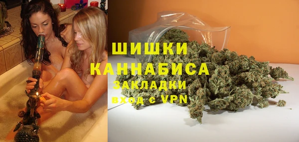 ПСИЛОЦИБИНОВЫЕ ГРИБЫ Белокуриха