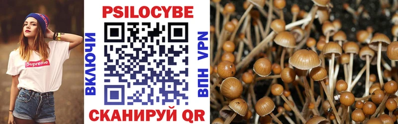 Галлюциногенные грибы Psilocybe  Козловка 